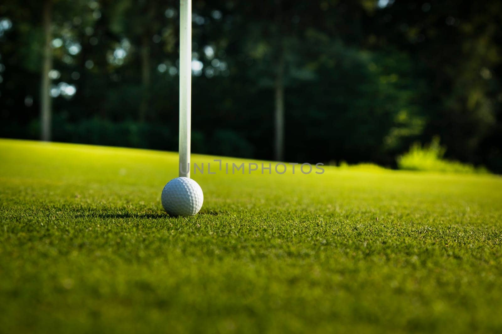 Sport and lifestyle, Golf ball on green grass on course