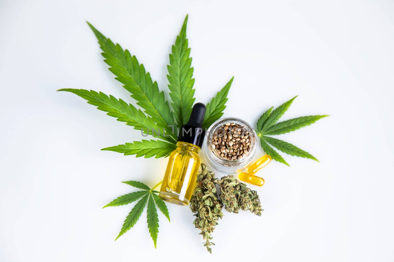Oil cbd, cannabis and hemp leaves, medical marijuana concept