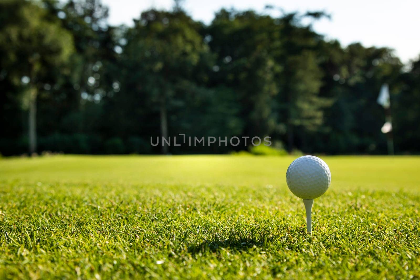 Golf ball on the golf course