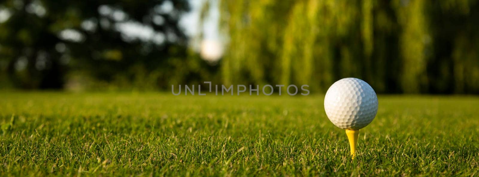 Closeup Golf ball on green grass on course