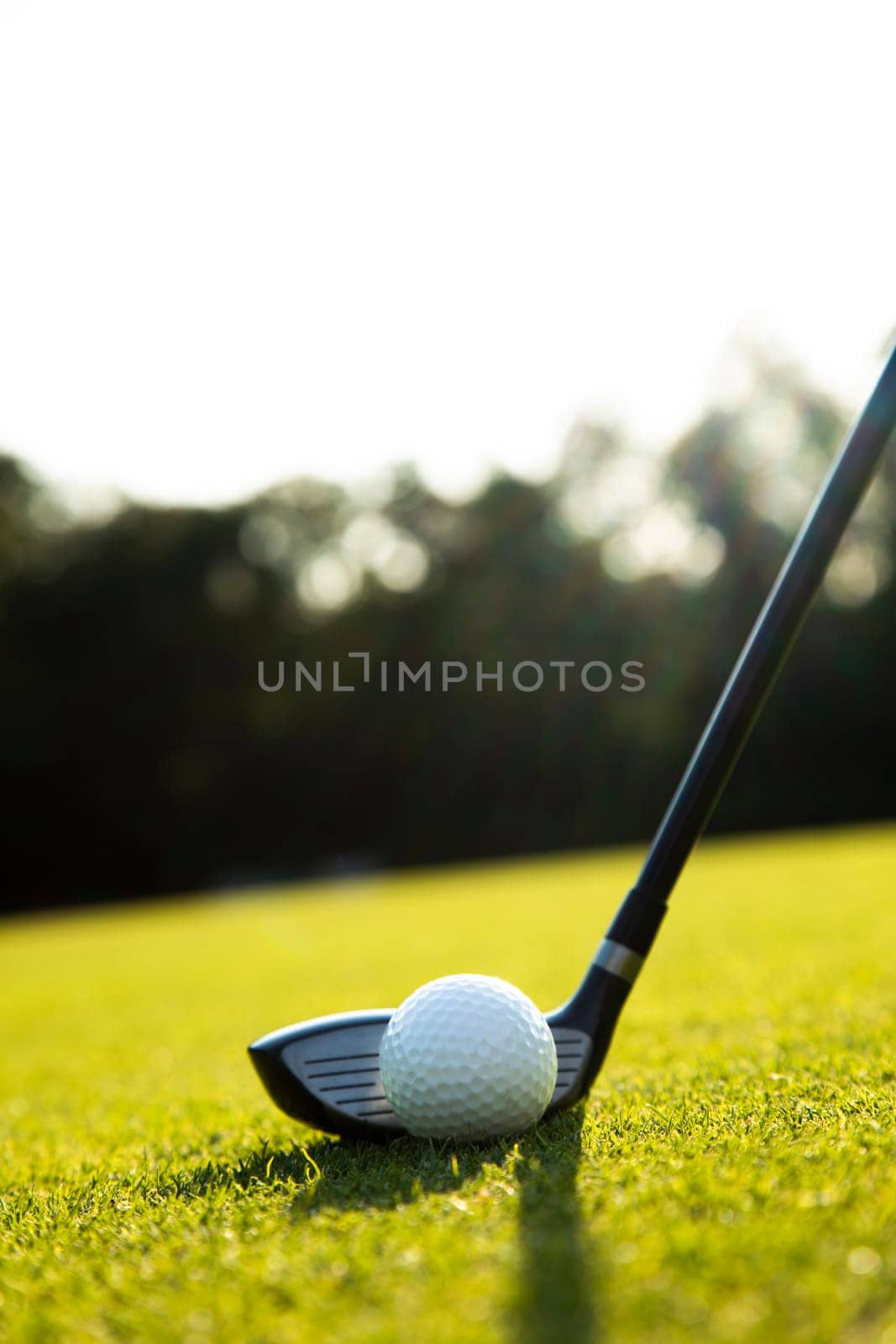 Golf player playing in a golf club on a beautiful sunset in the evening