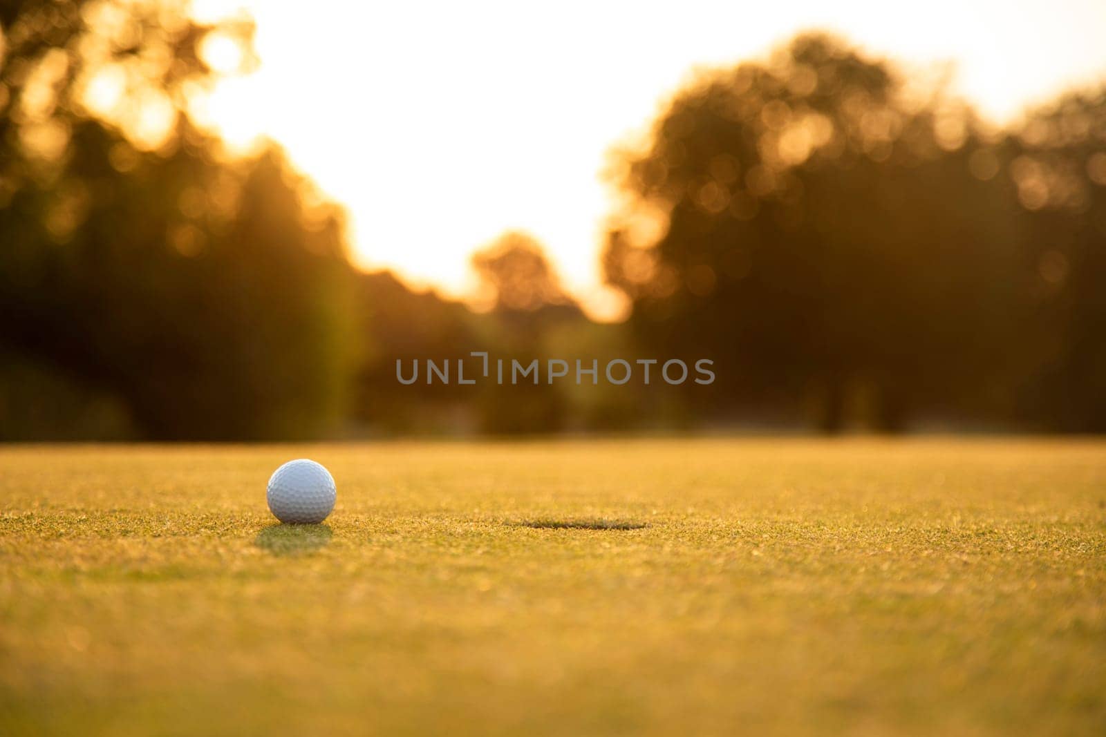Golf course with ball and grass