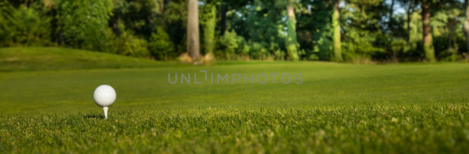 Golf ball on the golf course