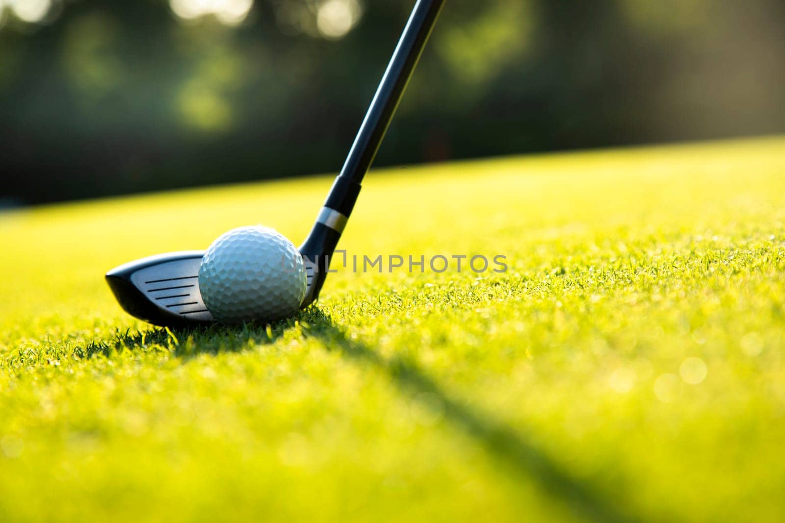 Golf player playing in a golf club on a beautiful sunset in the evening