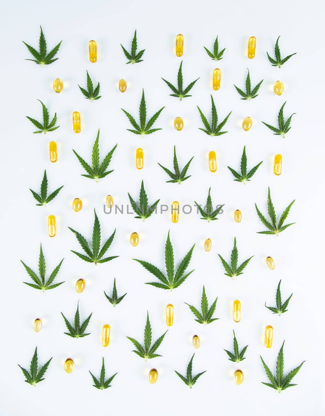 Cannabis leaf,marijuana isolated on white background