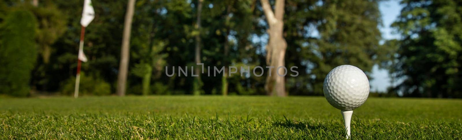 Close up of golf ball on green grass