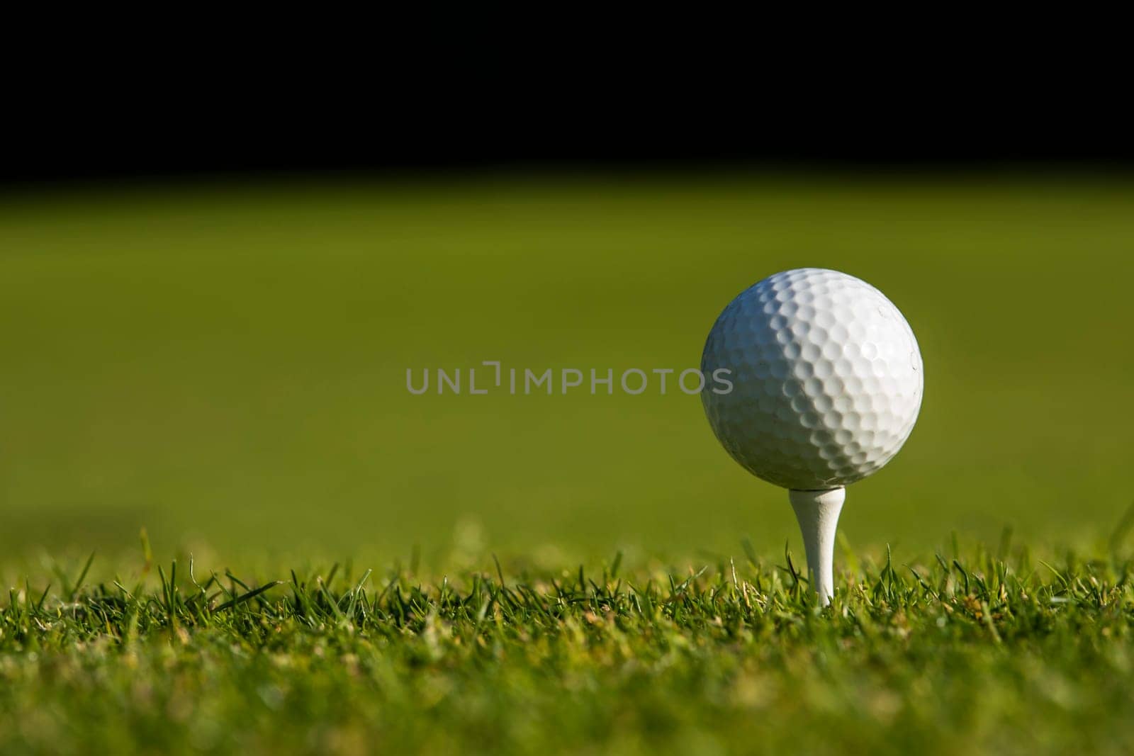Golf ball on the golf course