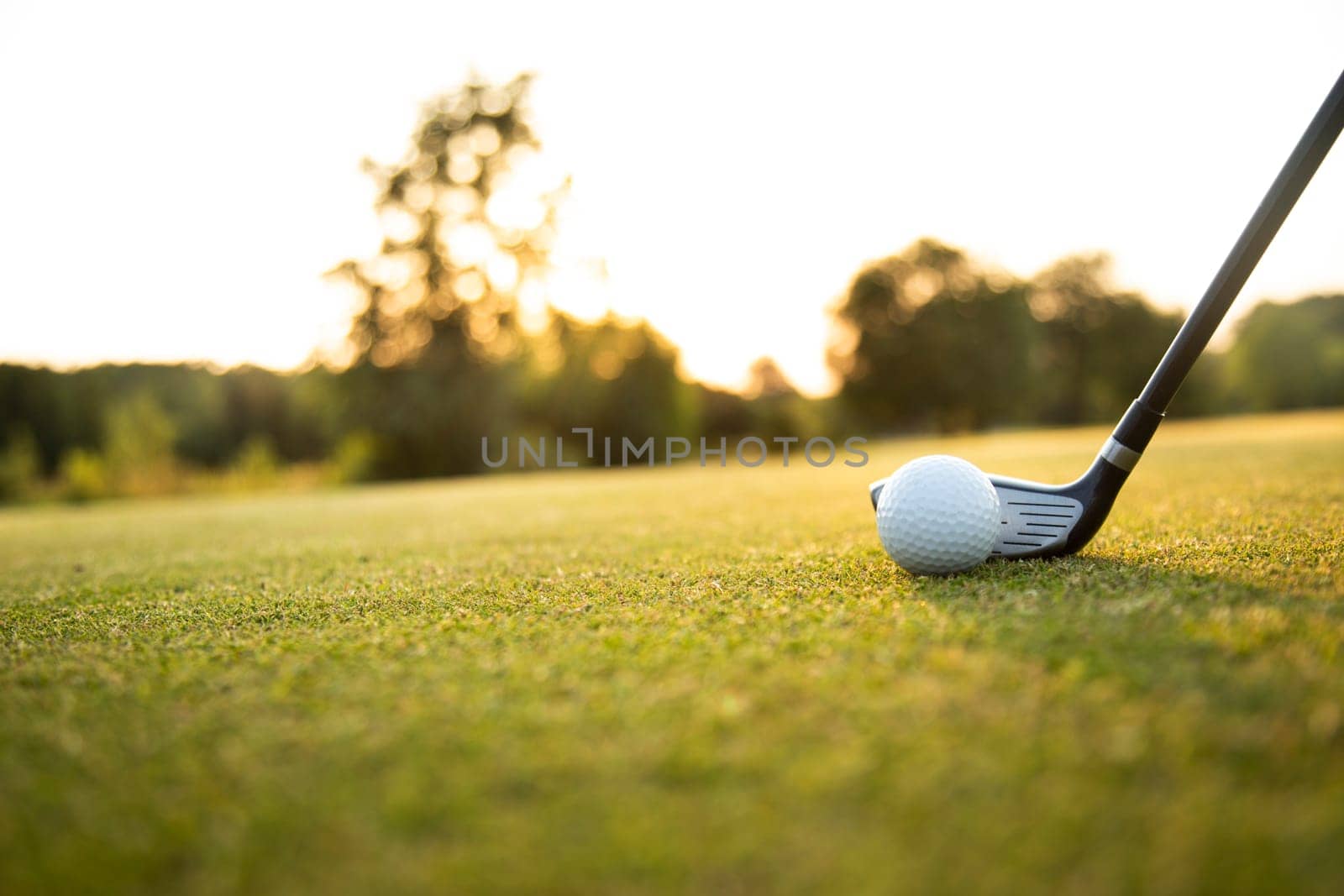 Golf player playing in a golf club on a beautiful sunset in the evening
