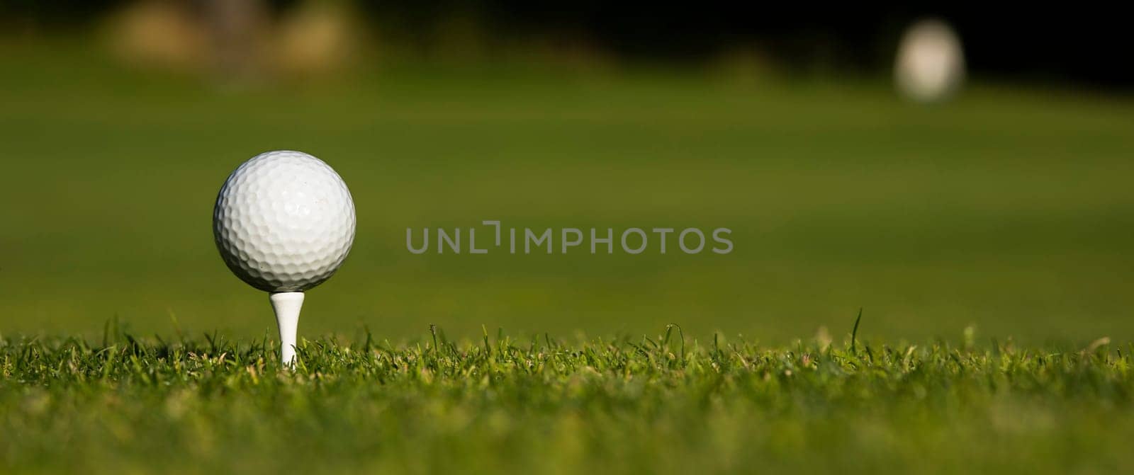Close up of golf ball on green grass