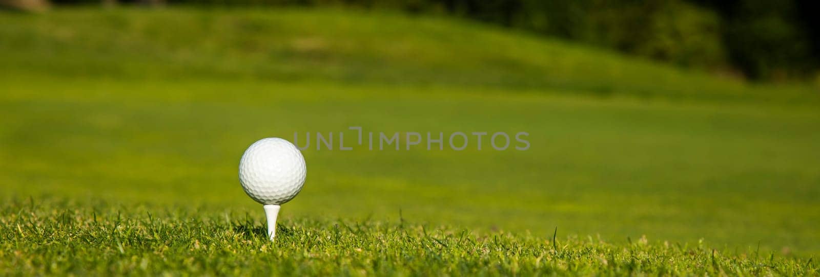 Golf ball on the golf course