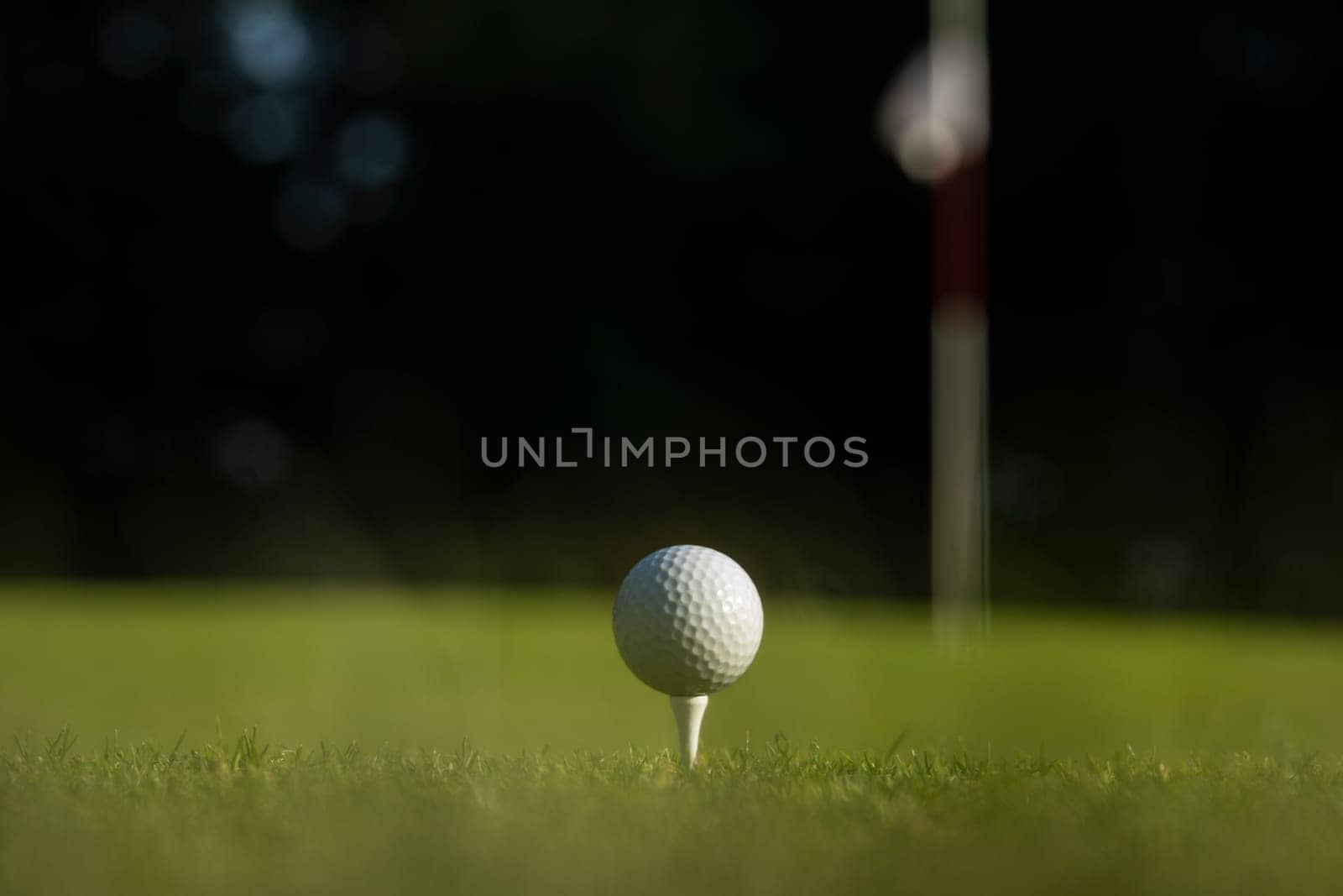 Golf ball on the golf course