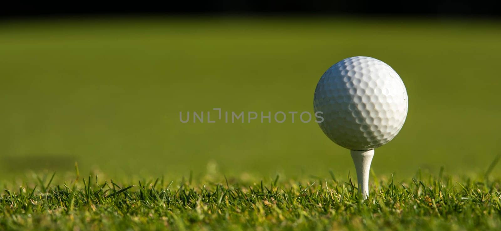 Close up of golf ball on green grass