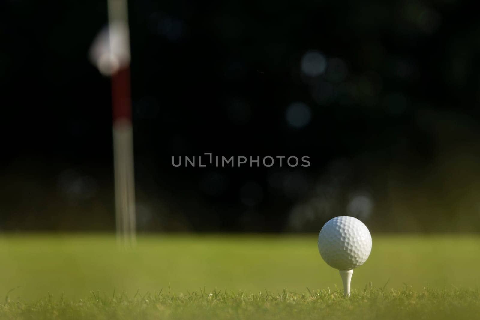 Close up of golf ball on green grass