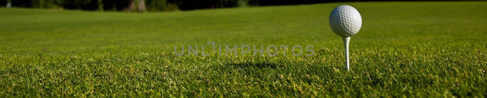 Close up of golf ball on green grass