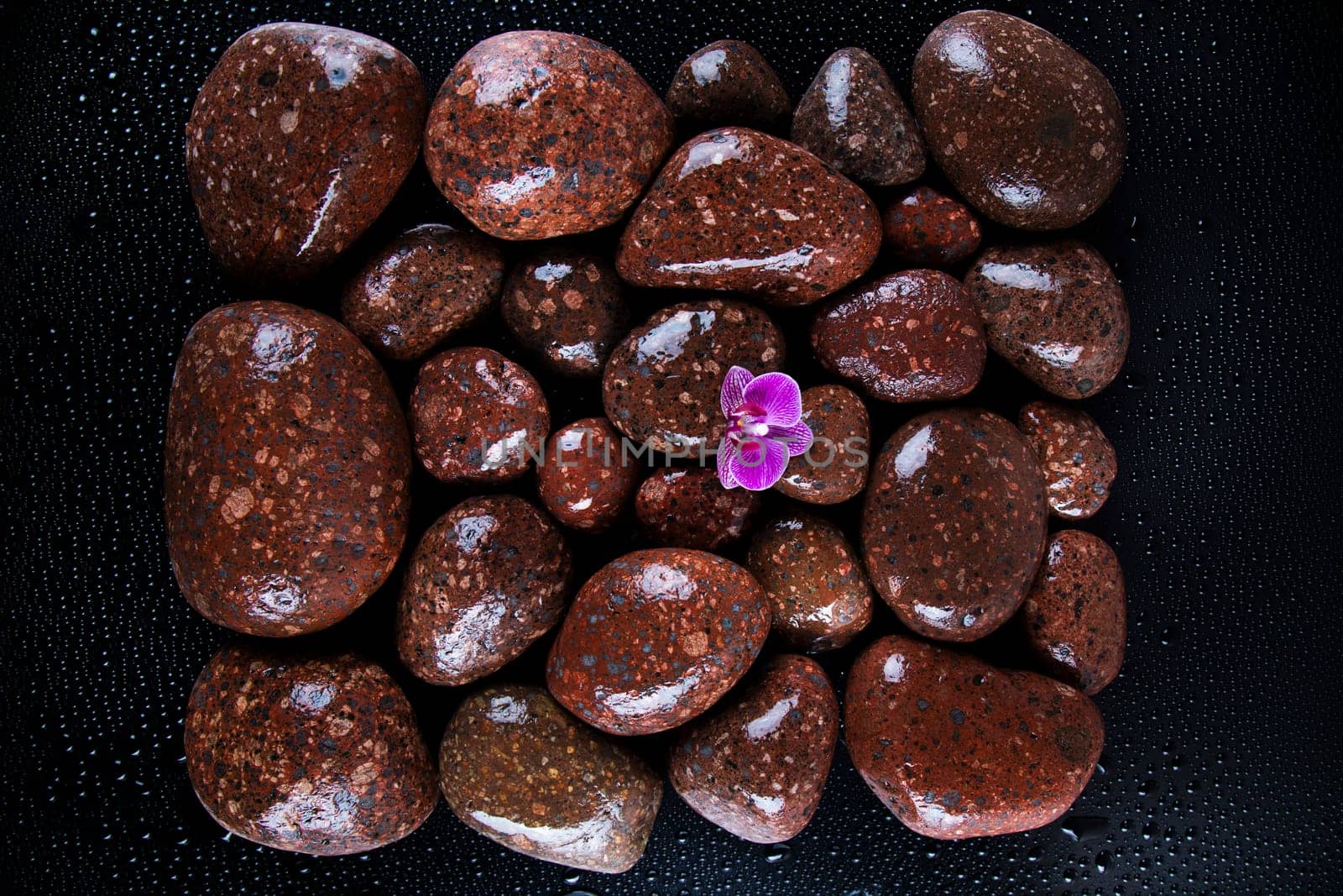 Stones with orchid flower. spa concept