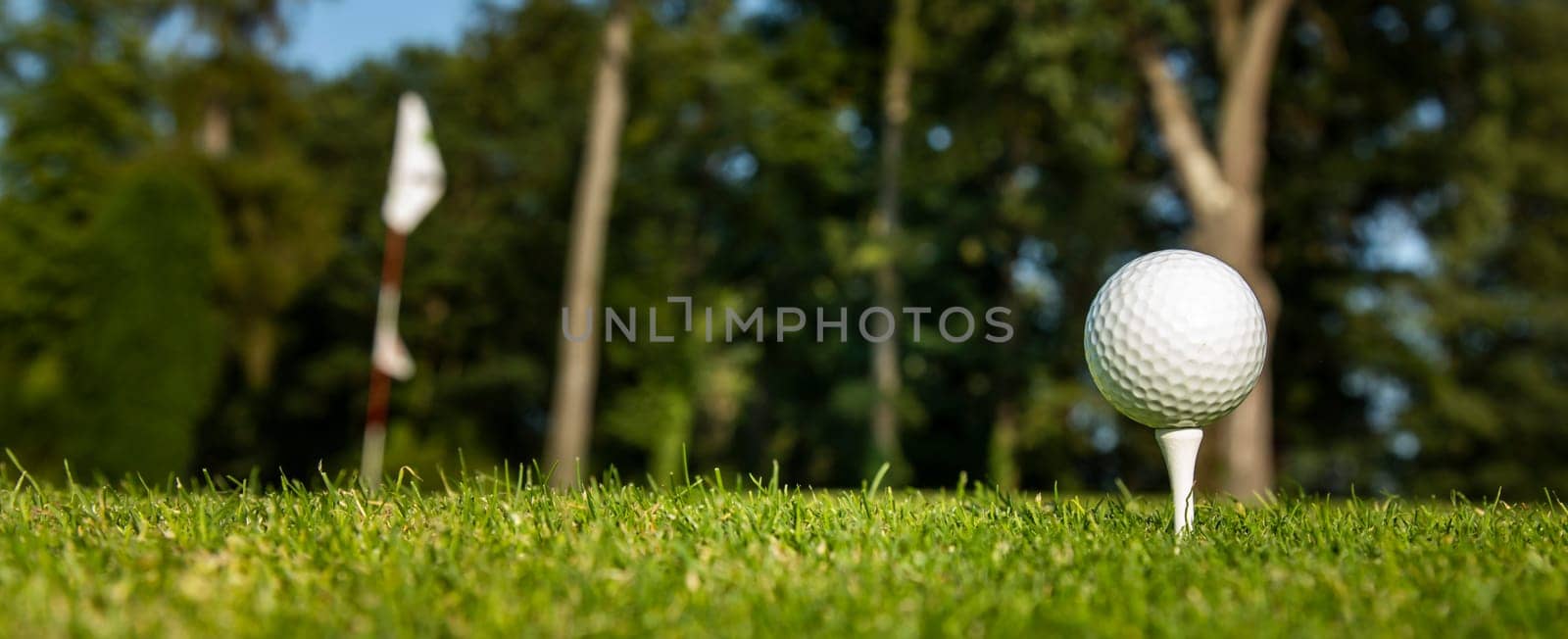 Golf ball on green course in the forest