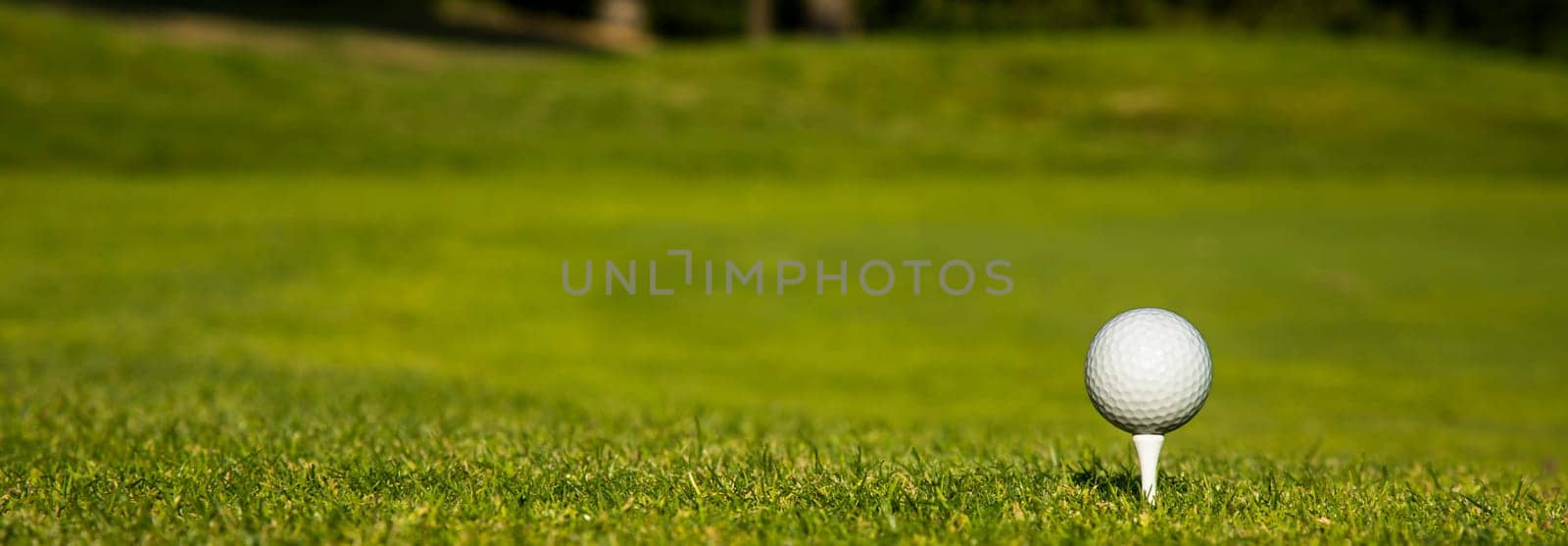 Close up of golf ball on green grass