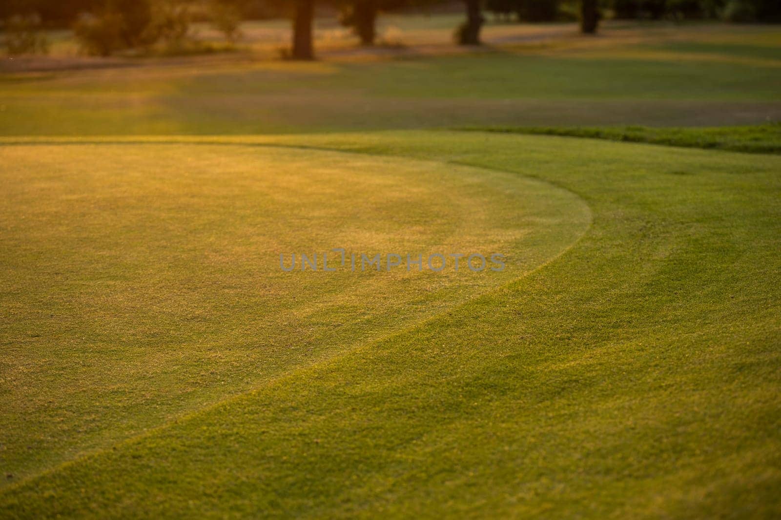 Golf course with green grass
