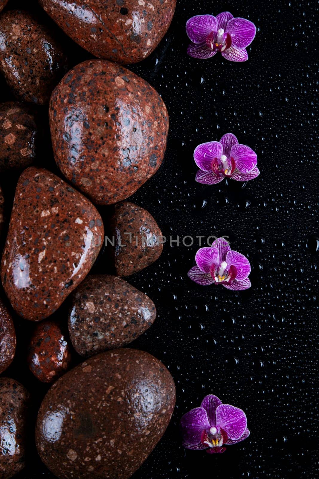 Stones with orchid flower. spa concept
