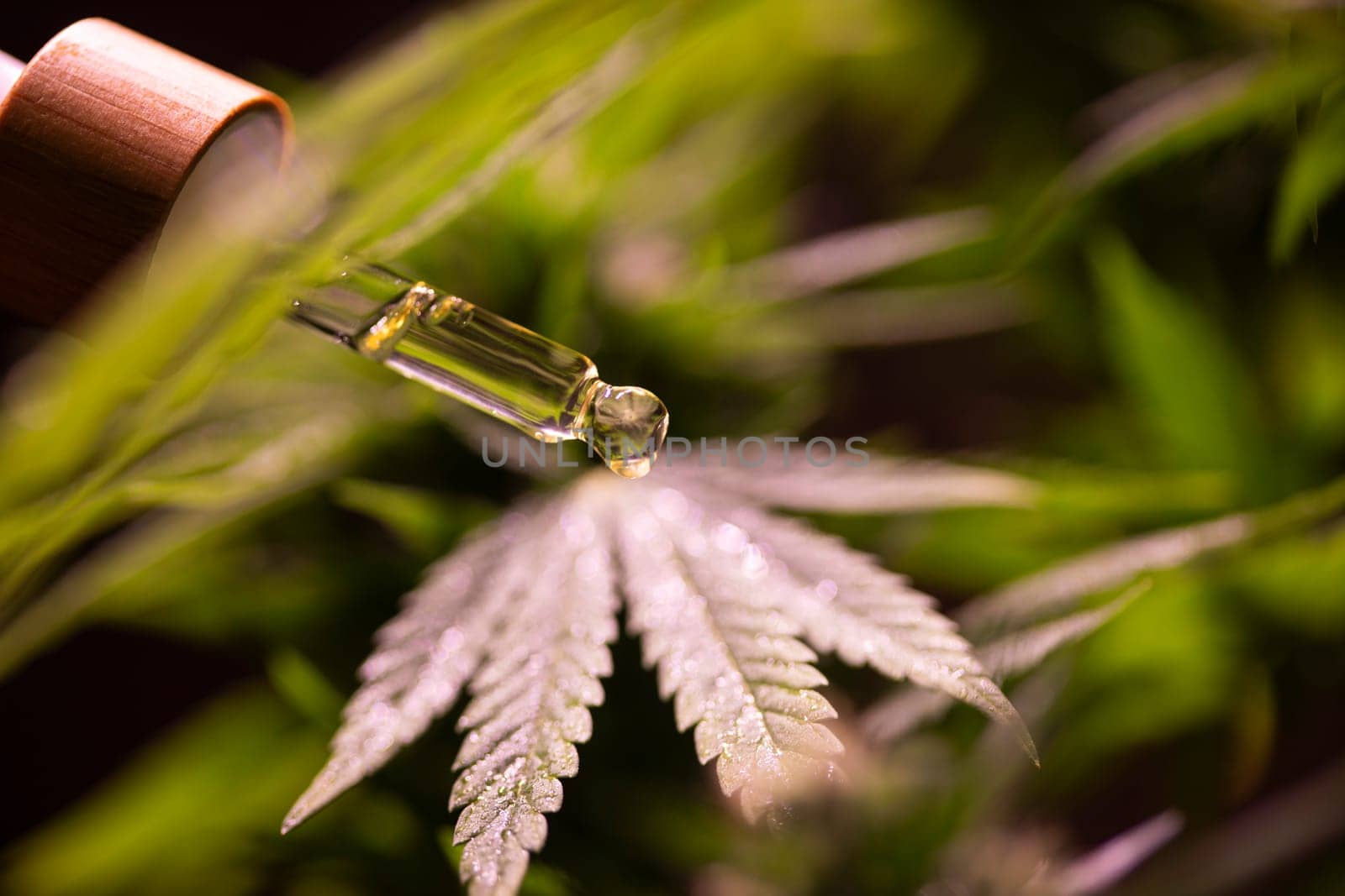 Set of essential oil cbd in a glass bottle, with a pipette, marijuana concept
