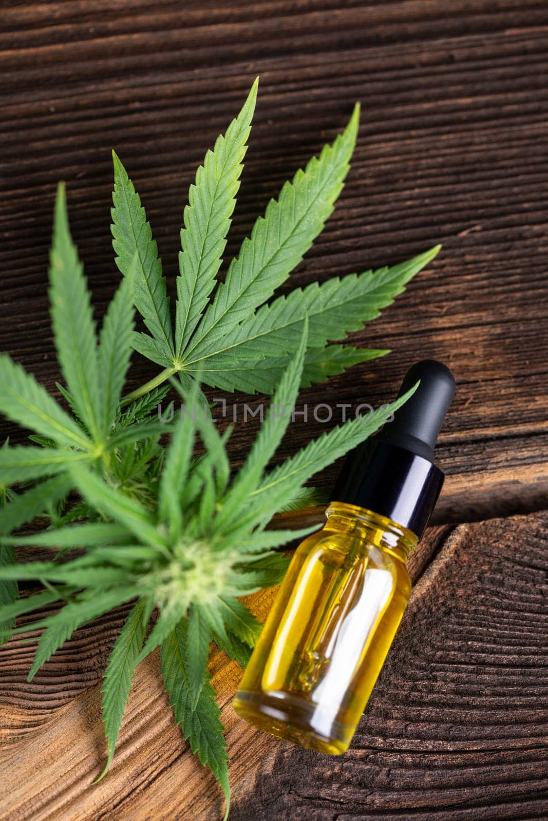 Hemp oil and marijuana leaves on hemp extract, cbd