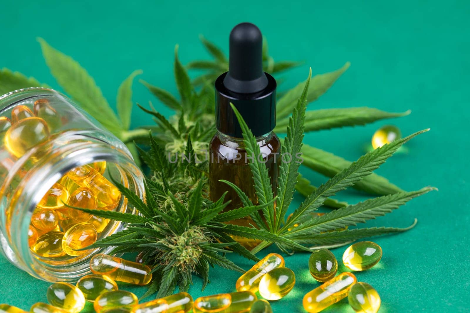 Oil cbd, cannabis and hemp leaves, medical marijuana concept