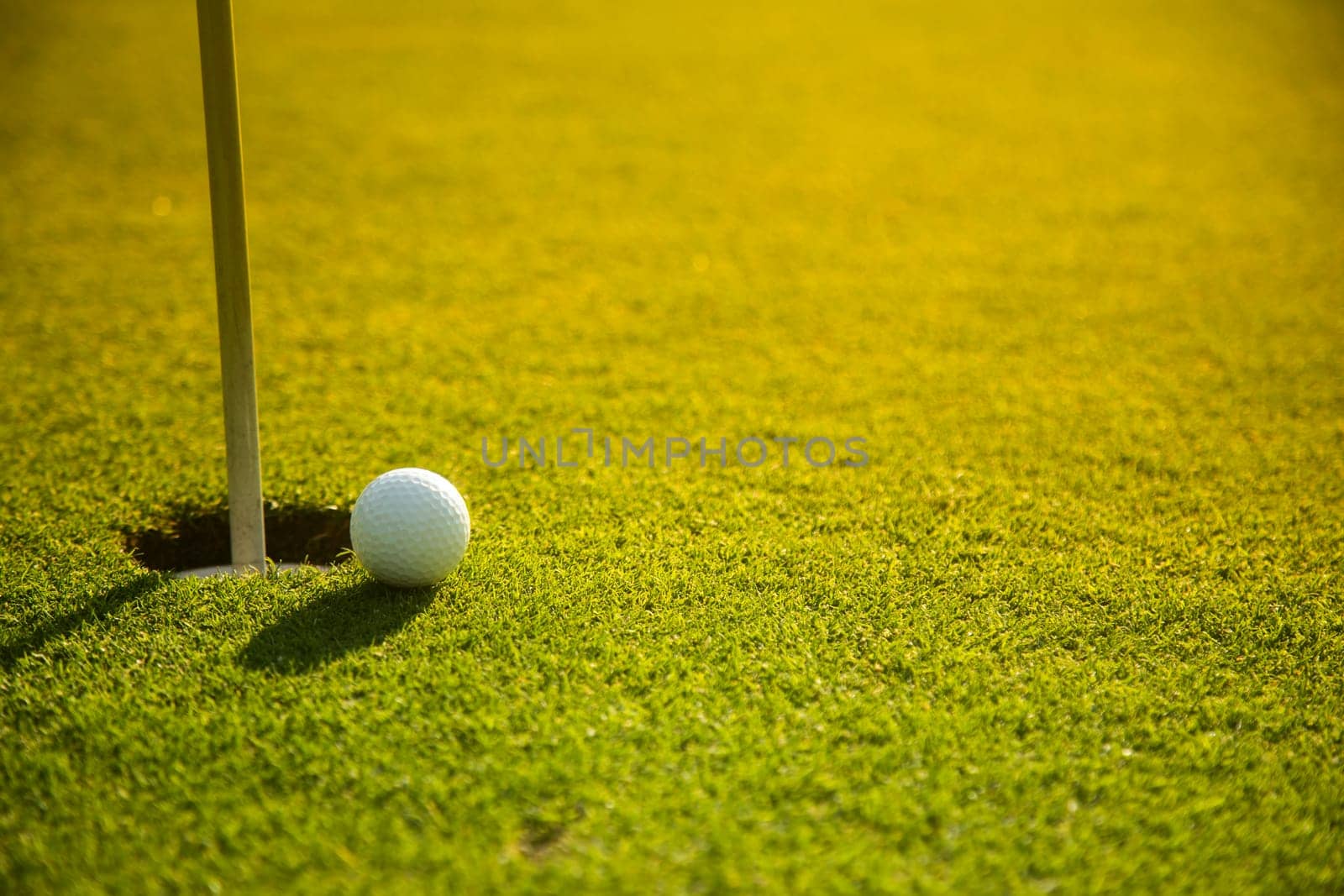 Sport and lifestyle, Golf ball on green grass on course