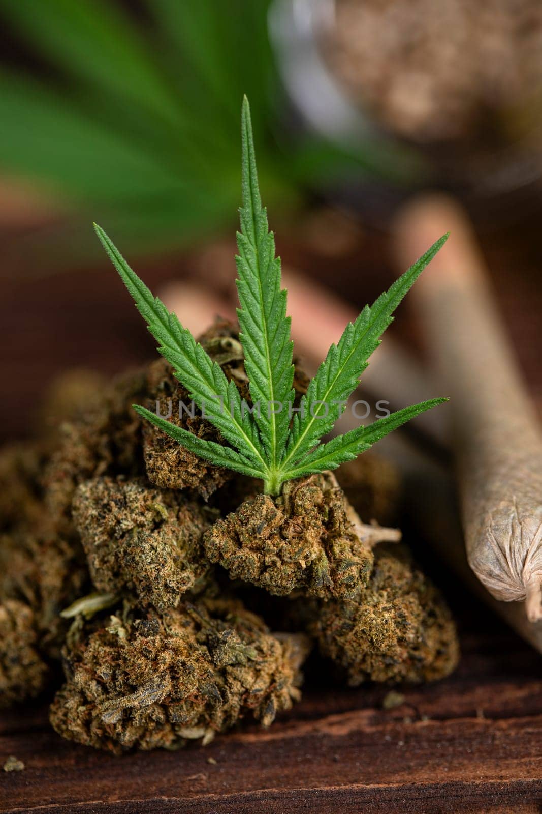 Cannabis and medical marijuana bud , cbd, blunt