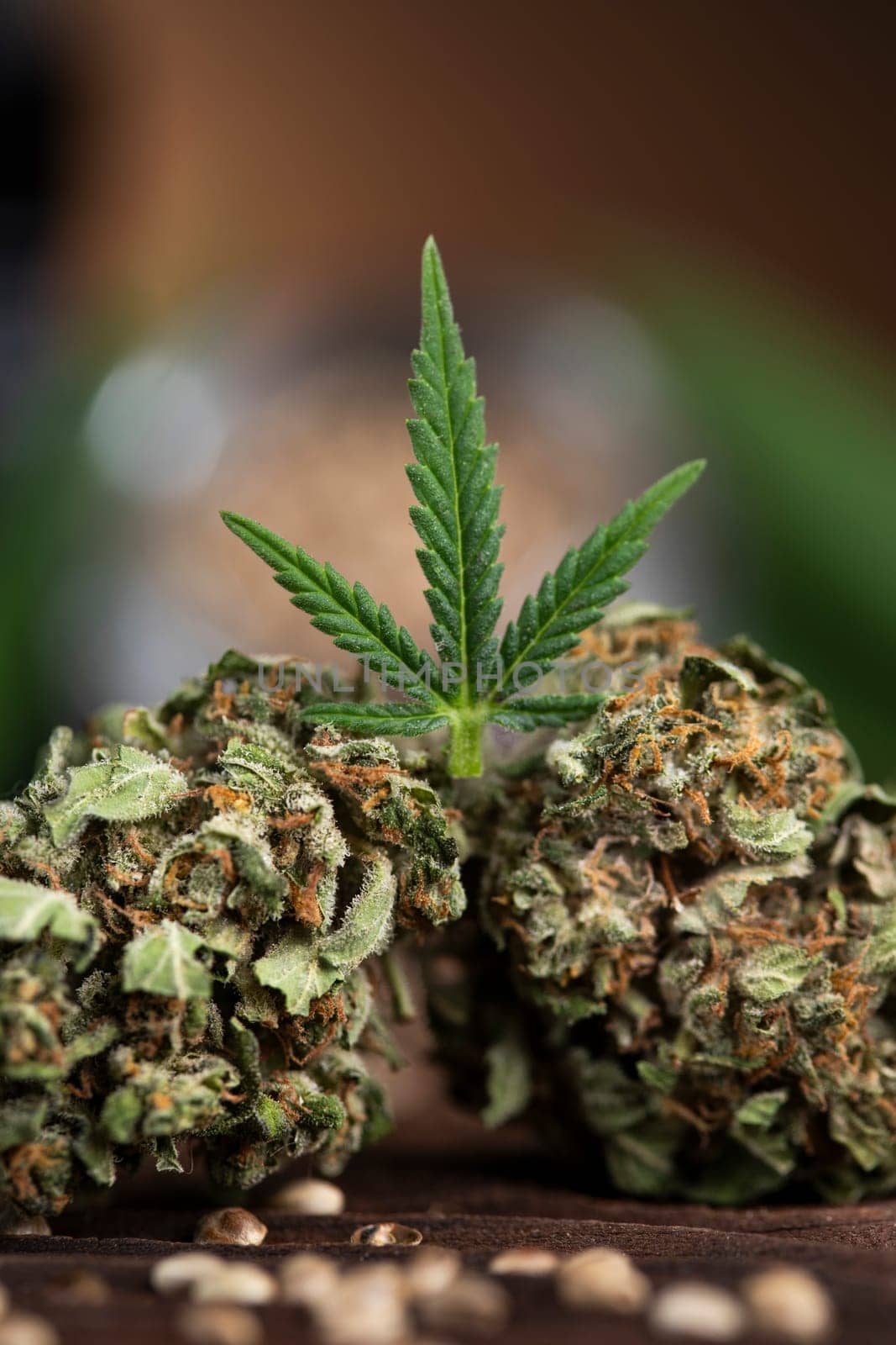 Top view of marijuana leaves and cannabis buds