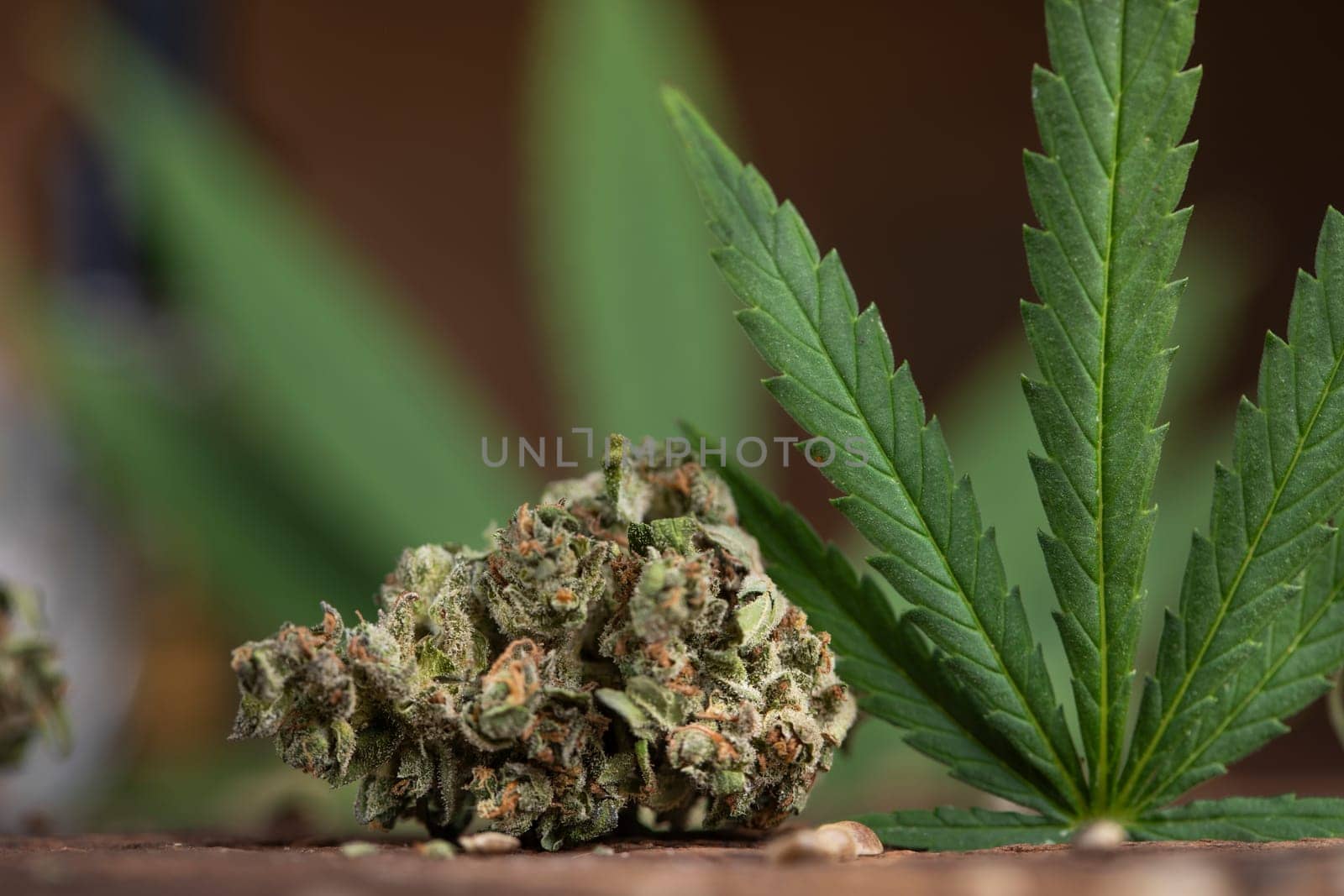 Top view of marijuana leaves and cannabis buds