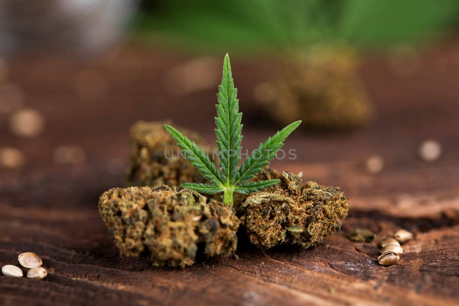 Weed, Top view of marijuana, Cannabis leaves