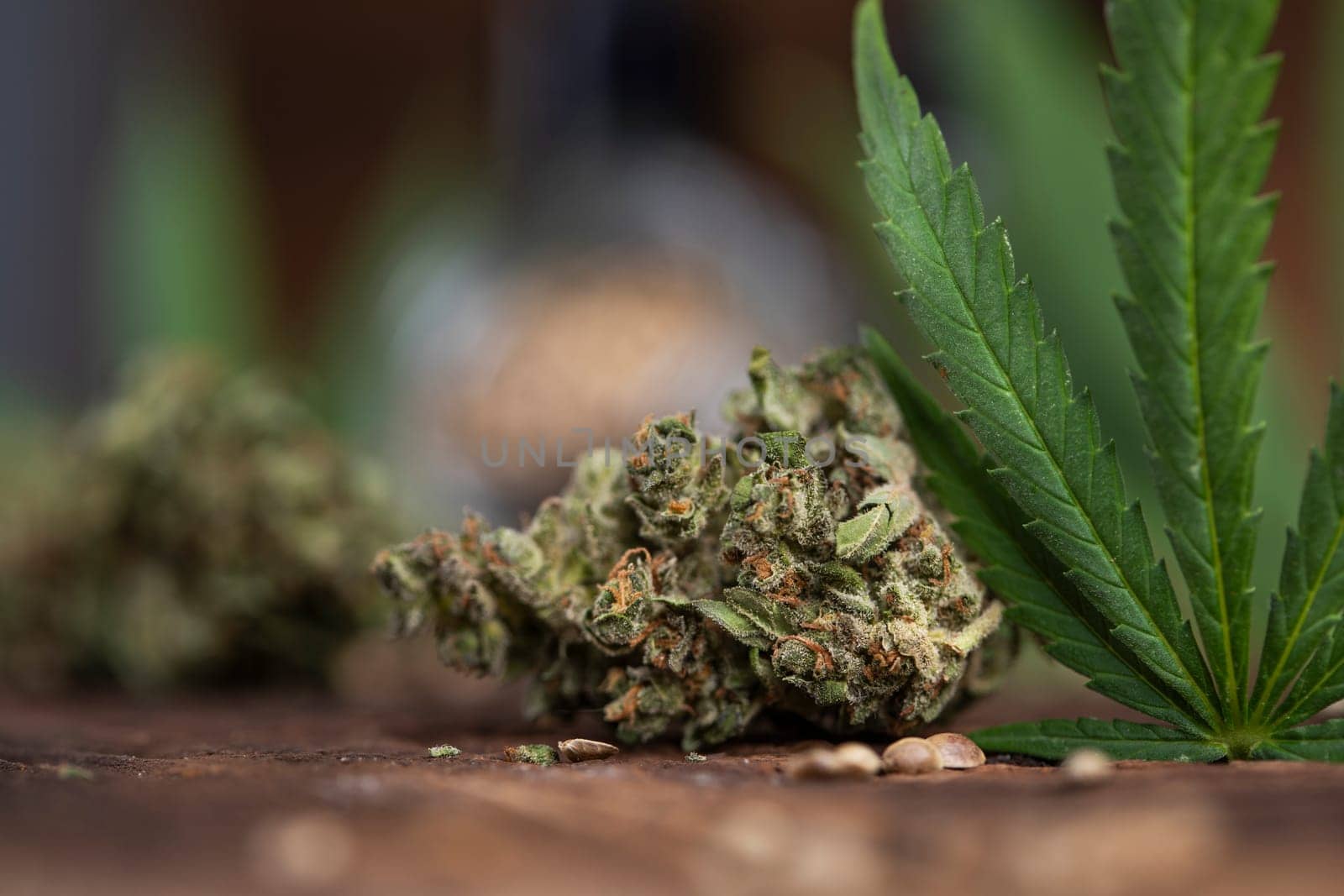 Top view of marijuana leaves and cannabis buds