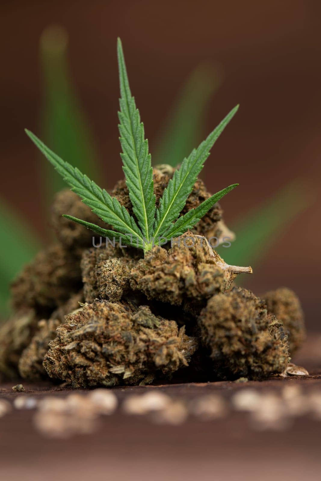 Cbd weed, Cannabis leaves and Top view of marijuana