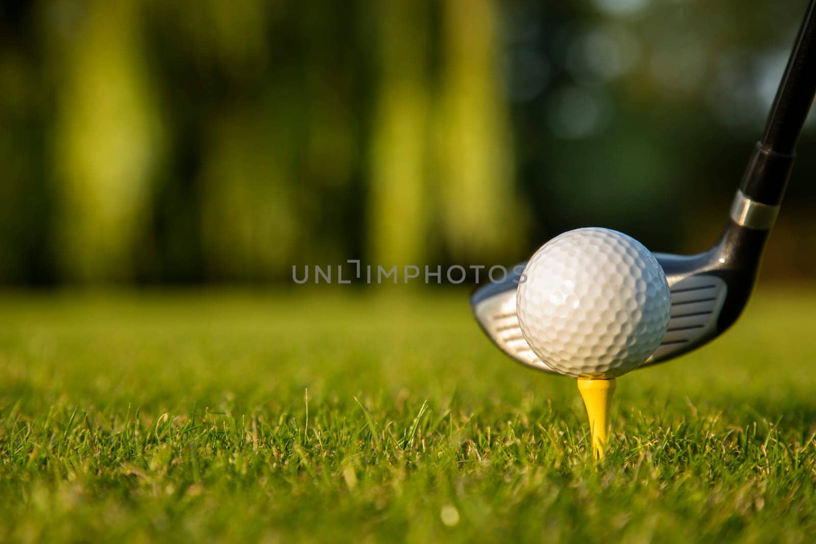 Golf player playing in a golf club on a beautiful sunset in the evening
