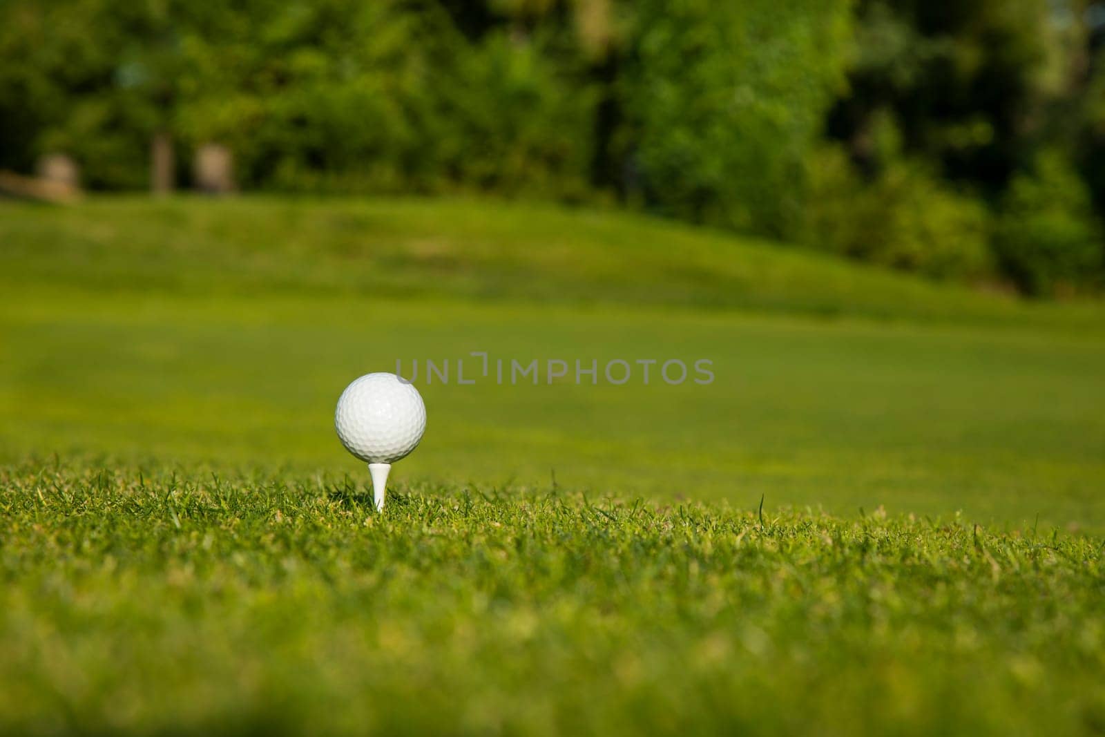 Golf ball on the golf course