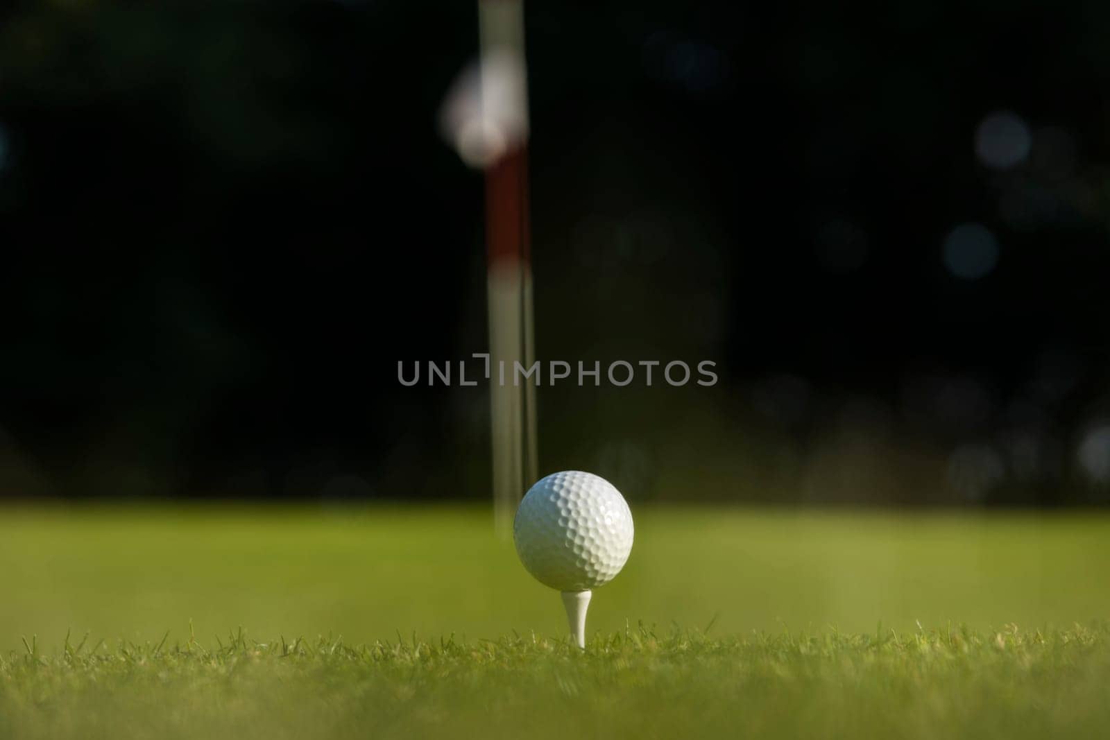 Close up of golf ball on green grass