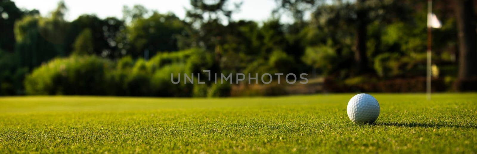 Sport and lifestyle, Golf ball on green grass on course