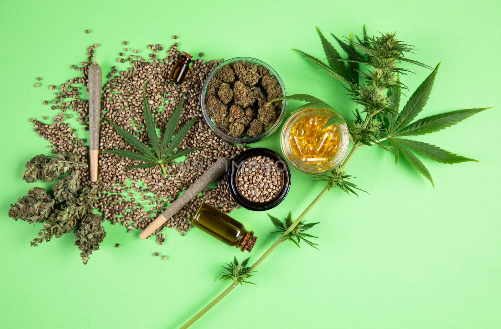 Marijuana buds with cannabis leaves on cbd concept