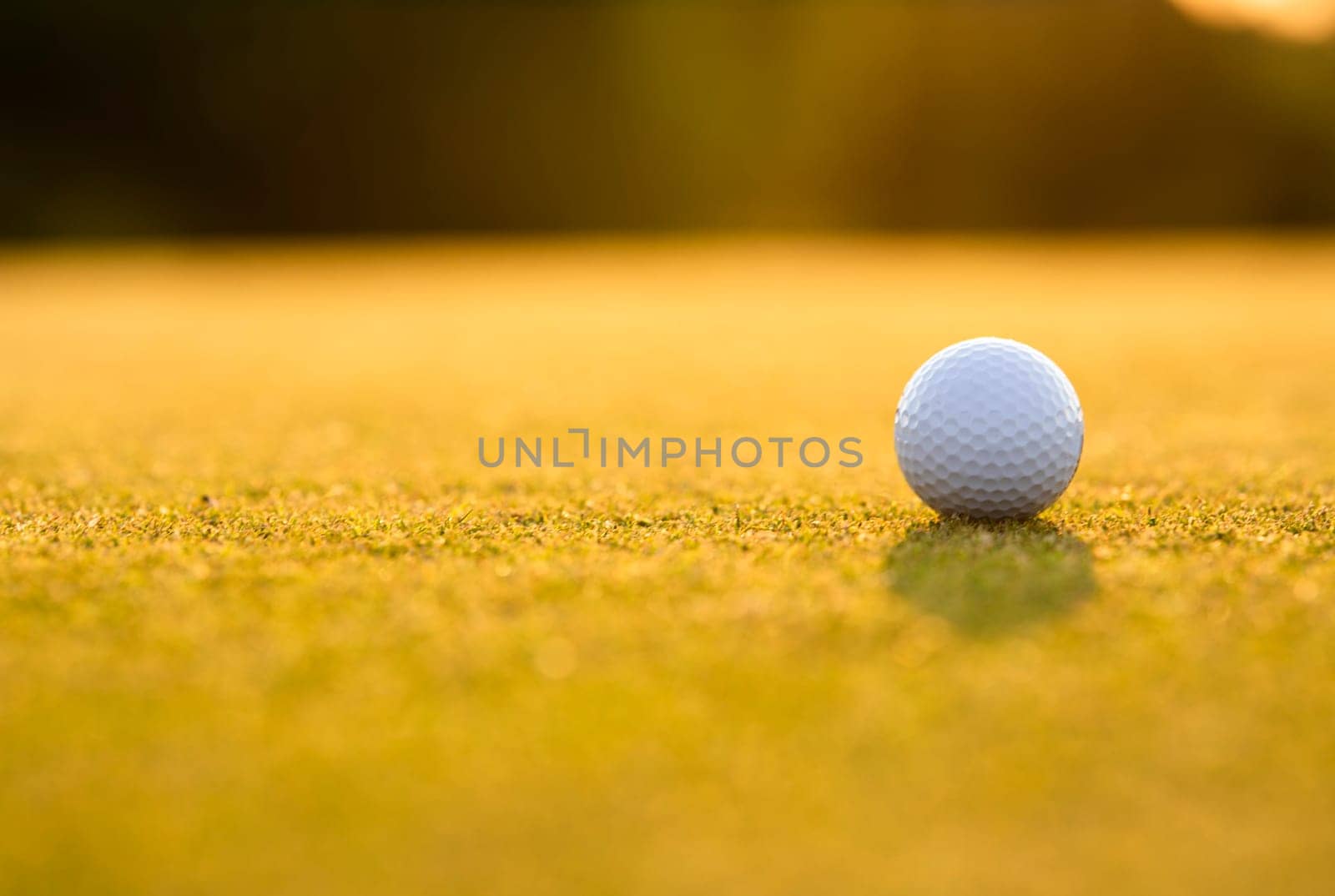 Golf course with ball and grass