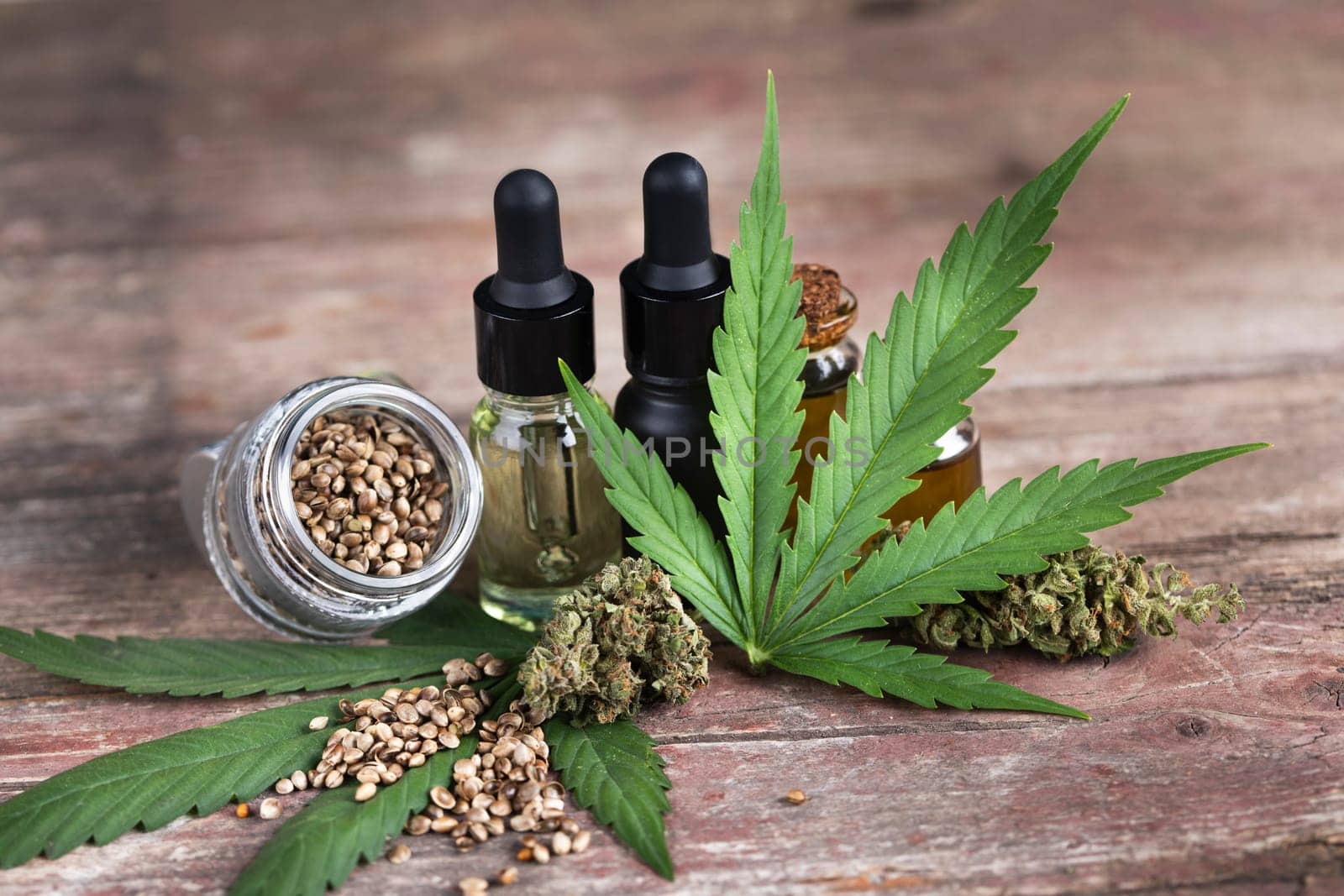Hemp oil and marijuana leaves on extract cbd