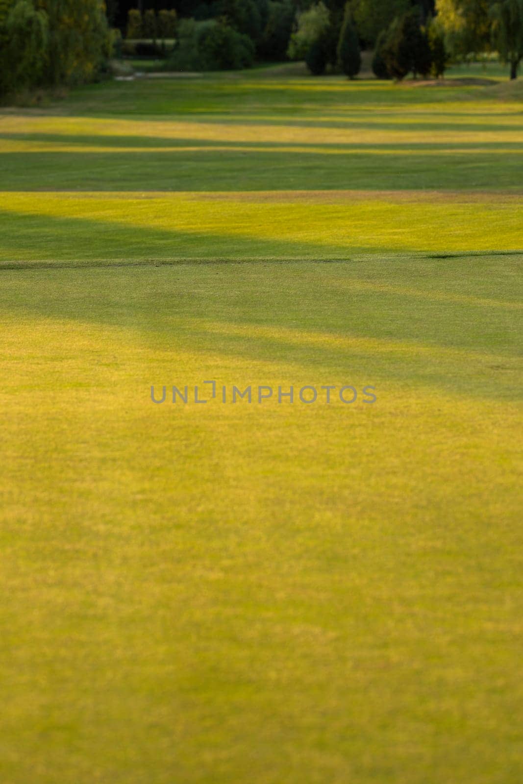 Golf course with green grass