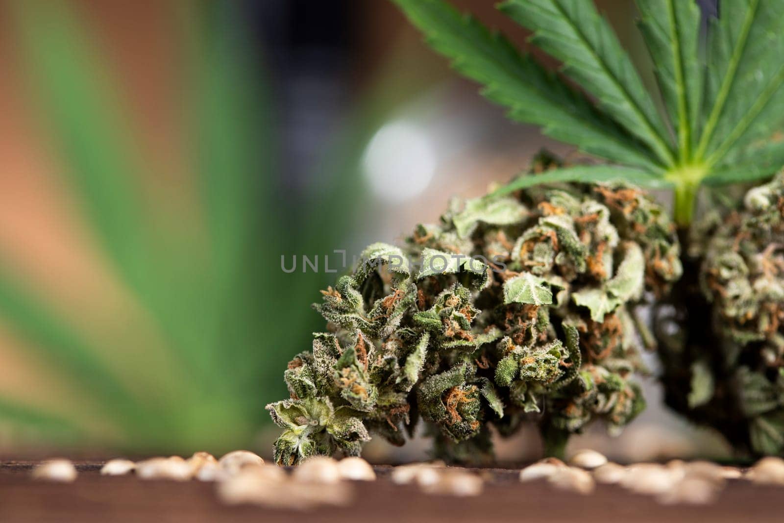 Cbd weed, Cannabis leaves and Top view of marijuana