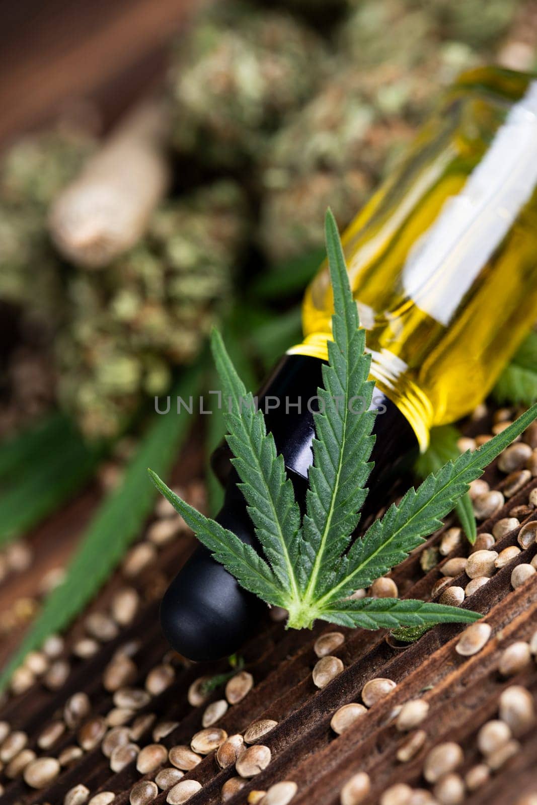 Cbd oil and marijuana plant, hemp seeds, medical marijuana concept