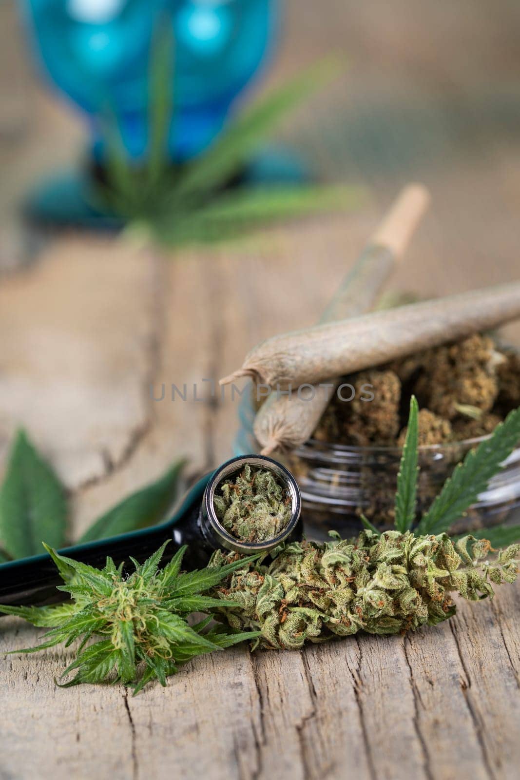 Blunt, Cbd cannabis hemp buds