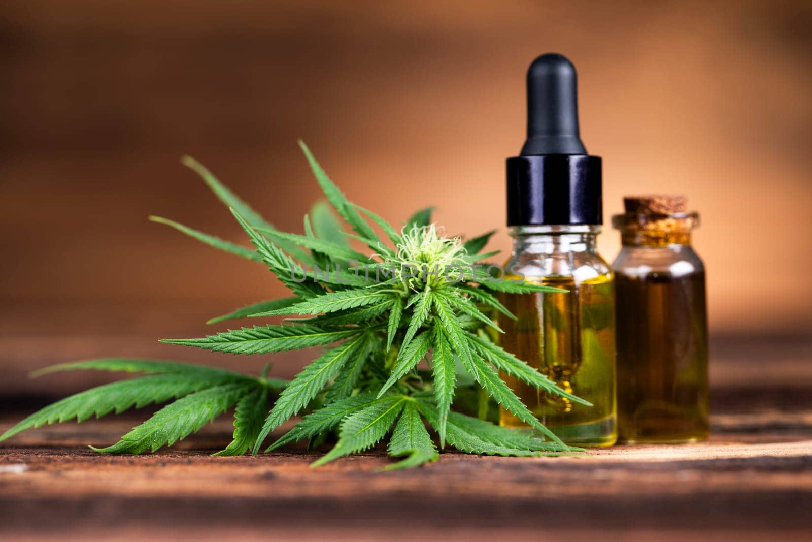 Oil cbd, cannabis and hemp leaves, medical marijuana concept
