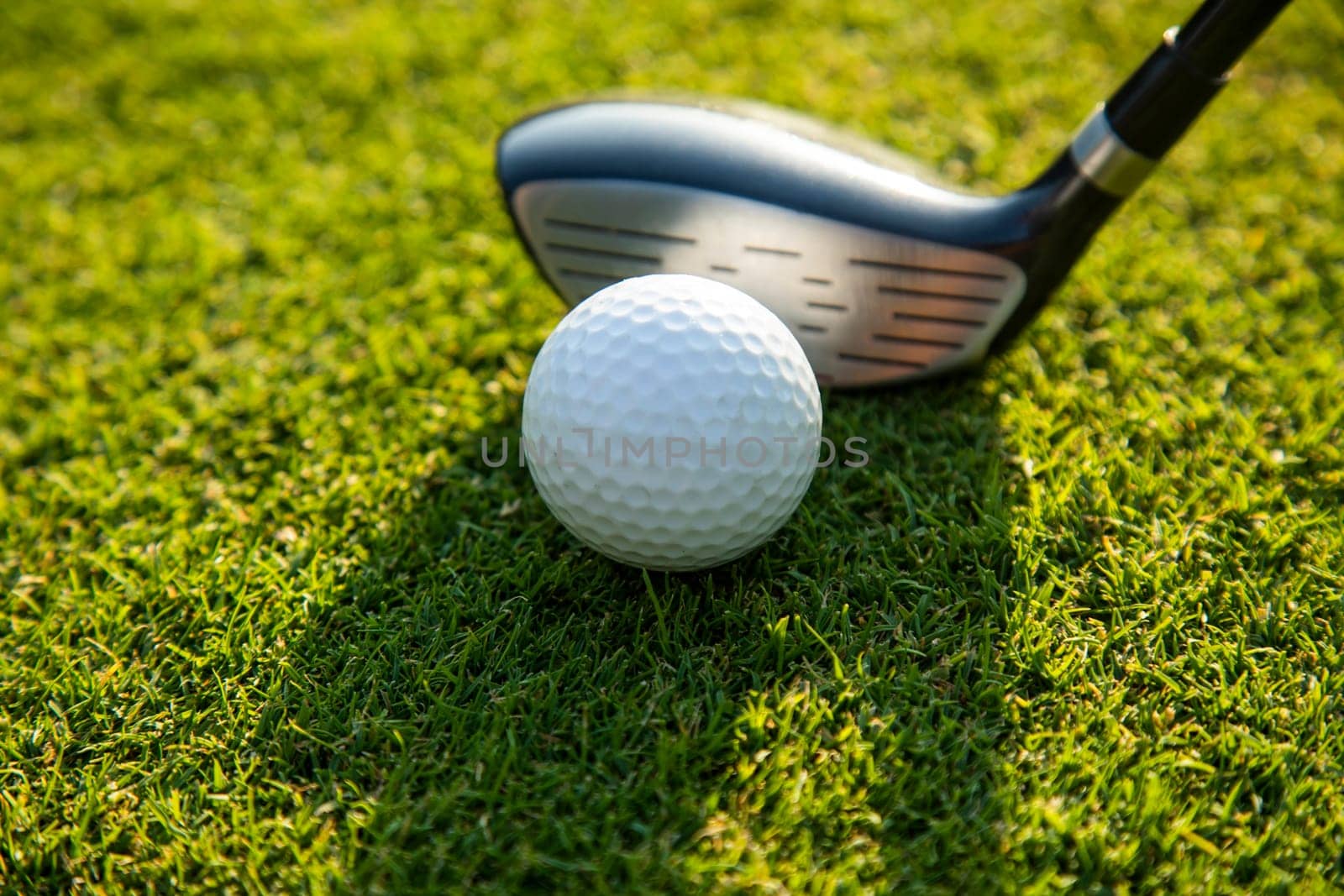 Golf player playing in a golf club on a beautiful sunset in the evening
