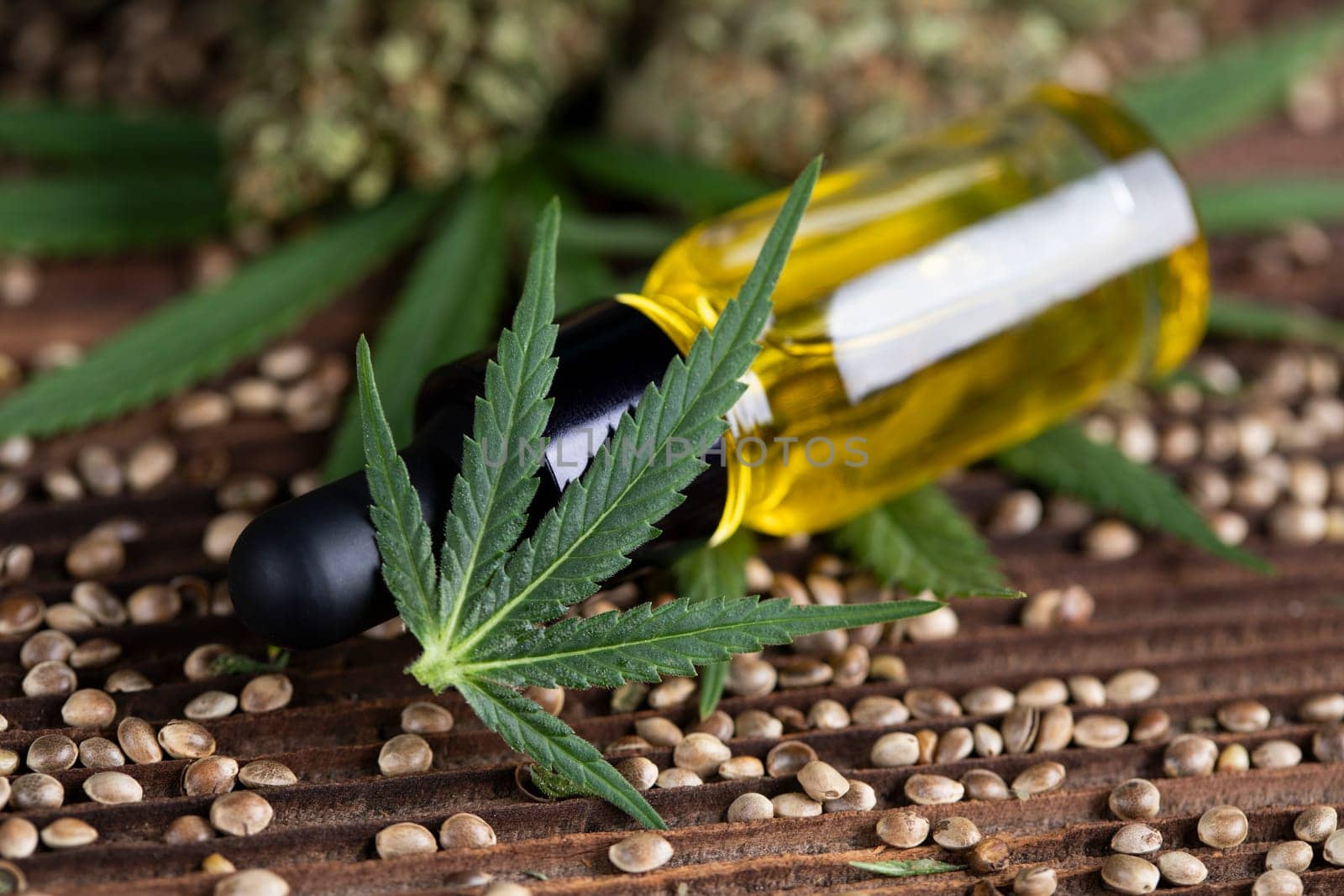 Cbd oil and marijuana plant, hemp seeds, medical marijuana concept