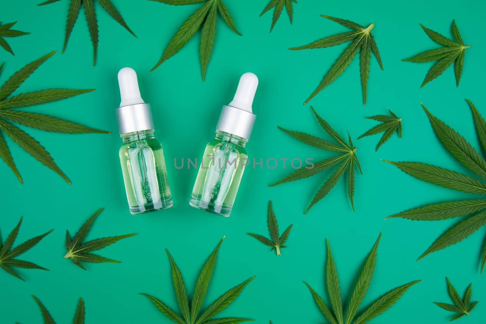 Oil cbd, cannabis and hemp leaves, medical marijuana concept
