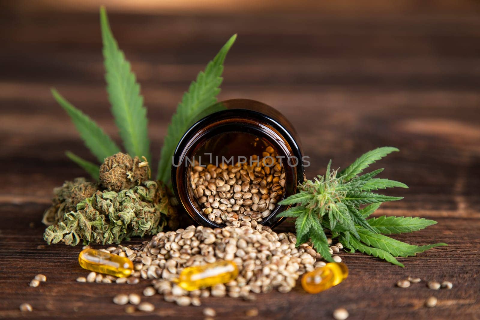 Marijuana plant with medical cannabis, cbd