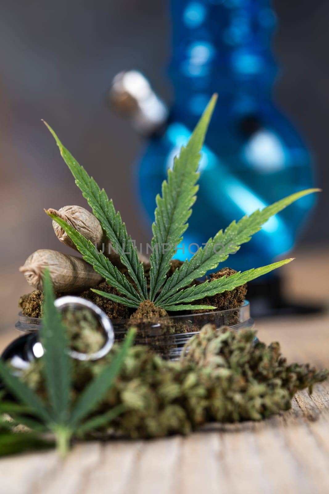 Marijuana and cannabis buds, cbd concept